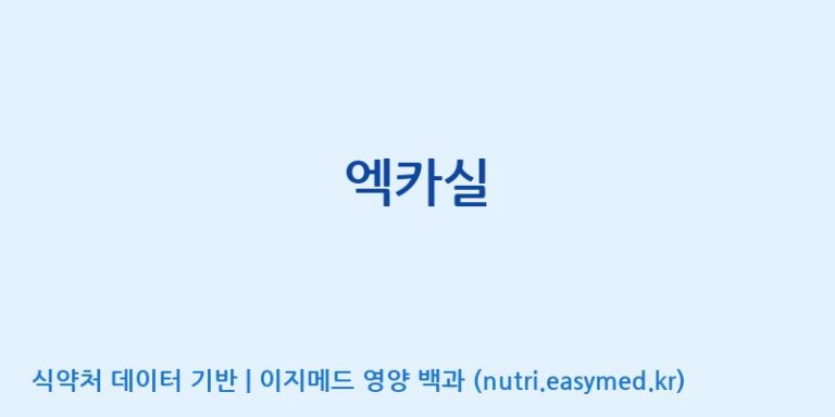 [(주)유니쎌팜] 엑카실 효능, 성분 및 부작용 주의사항 완벽 정리