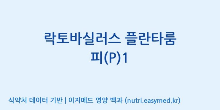 [주식회사 락토메이슨] 락토바실러스 플란타룸 피(P)1 효능, 성분 및 부작용 주의사항 완벽 정리