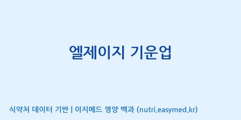 [주식회사 네추럴웨이 포천 제2공장] 엘제이지 기운업 효능, 성분 및 부작용 주의사항 완벽 정리