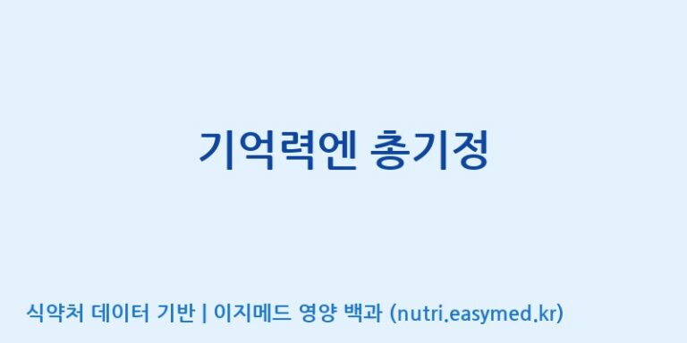 [주)팜크로스] 기억력엔 총기정 효능, 성분 및 부작용 주의사항 완벽 정리
