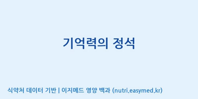 [엠에스바이오텍(주)] 기억력의 정석 효능, 성분 및 부작용 주의사항 완벽 정리