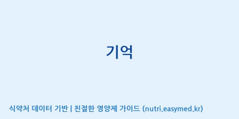 [(주)오투바이오] 기억 효능, 성분 및 부작용 주의사항 완벽 정리