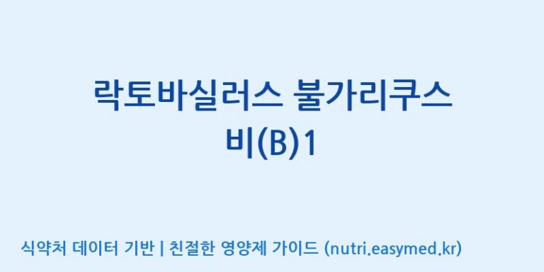 [주식회사 락토메이슨] 락토바실러스 불가리쿠스 비(B)1 효능, 성분 및 부작용 주의사항 완벽 정리